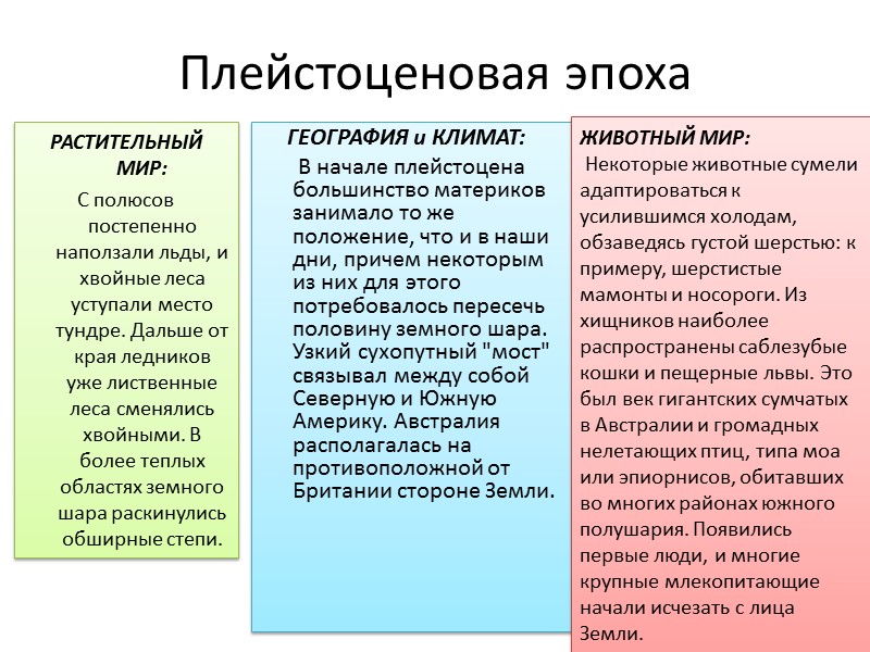 Плейстоценовая эпоха РАСТИТЕЛЬНЫЙ МИР:  С полюсов постепенно наползали льды, и хвойные леса уступали